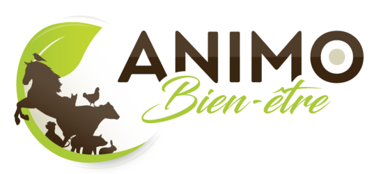 Animo Bien-être